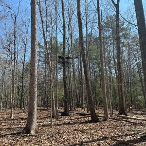 Photo #45 of Off of Wagon Trail Rd , Monroe, VA 9.2 acres