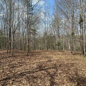 Photo #46 of Off of Wagon Trail Rd , Monroe, VA 9.2 acres