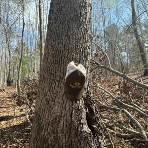 Photo #47 of Off of Wagon Trail Rd , Monroe, VA 9.2 acres