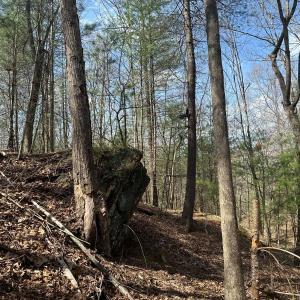 Photo #49 of Off of Wagon Trail Rd , Monroe, VA 9.2 acres