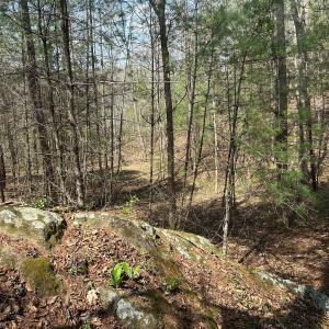 Photo #50 of Off of Wagon Trail Rd , Monroe, VA 9.2 acres