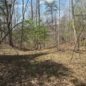 Photo #51 of Off of Wagon Trail Rd , Monroe, VA 9.2 acres