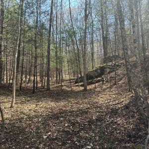 Photo #52 of Off of Wagon Trail Rd , Monroe, VA 9.2 acres
