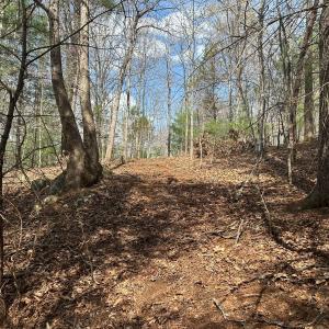 Photo #54 of Off of Wagon Trail Rd , Monroe, VA 9.2 acres