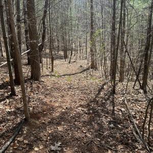 Photo #55 of Off of Wagon Trail Rd , Monroe, VA 9.2 acres