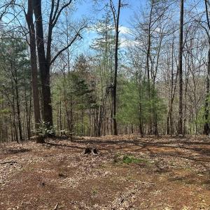 Photo #56 of Off of Wagon Trail Rd , Monroe, VA 9.2 acres