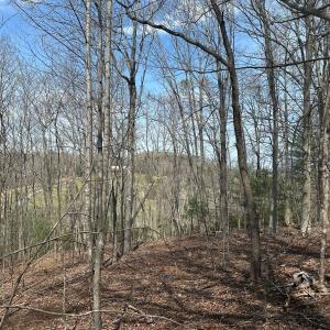 Photo #57 of Off of Wagon Trail Rd , Monroe, VA 9.2 acres