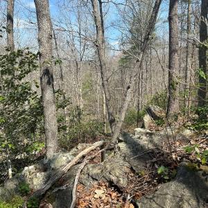 Photo #58 of Off of Wagon Trail Rd , Monroe, VA 9.2 acres