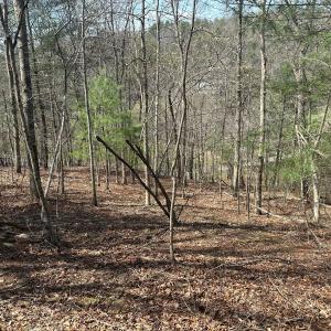 Photo #60 of Off of Wagon Trail Rd , Monroe, VA 9.2 acres