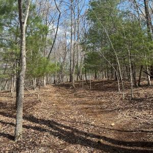 Photo #61 of Off of Wagon Trail Rd , Monroe, VA 9.2 acres
