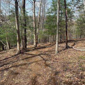 Photo #62 of Off of Wagon Trail Rd , Monroe, VA 9.2 acres
