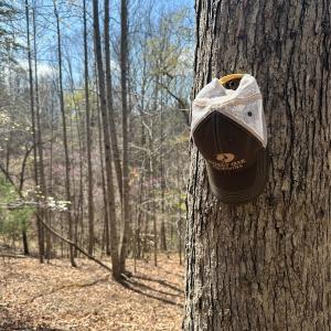 Photo #63 of Off of Wagon Trail Rd , Monroe, VA 9.2 acres