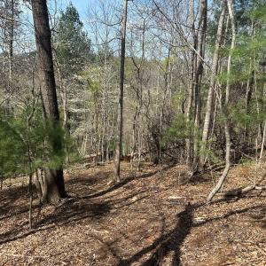 Photo #64 of Off of Wagon Trail Rd , Monroe, VA 9.2 acres