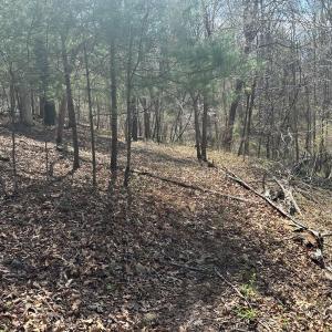 Photo #65 of Off of Wagon Trail Rd , Monroe, VA 9.2 acres