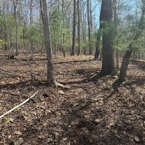 Photo #66 of Off of Wagon Trail Rd , Monroe, VA 9.2 acres