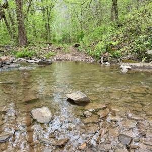 Photo #13 of 1297 Dry Creek Road, Blackwater, VA 50.5 acres