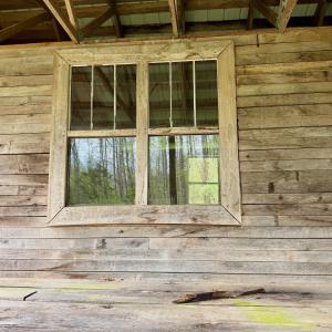 Photo #16 of 1297 Dry Creek Road, Blackwater, VA 50.5 acres