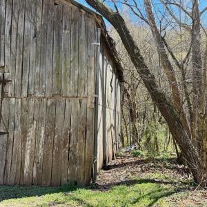 Photo #17 of 1297 Dry Creek Road, Blackwater, VA 50.5 acres