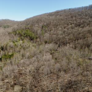 Photo #6 of 1297 Dry Creek Road, Blackwater, VA 50.5 acres