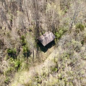 Photo #8 of 1297 Dry Creek Road, Blackwater, VA 50.5 acres