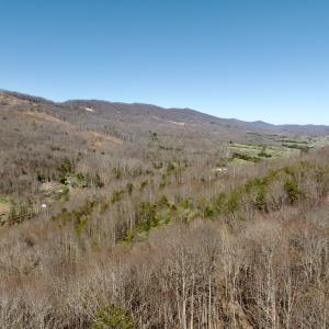 Photo #21 of 1297 Dry Creek Road, Blackwater, VA 50.5 acres
