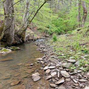 Photo #23 of 1297 Dry Creek Road, Blackwater, VA 50.5 acres