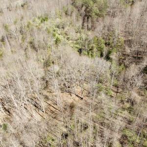 Photo #35 of 1297 Dry Creek Road, Blackwater, VA 50.5 acres