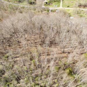 Photo #36 of 1297 Dry Creek Road, Blackwater, VA 50.5 acres