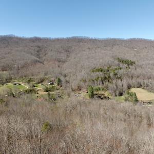 Photo #44 of 1297 Dry Creek Road, Blackwater, VA 50.5 acres