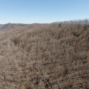 Photo #48 of 1297 Dry Creek Road, Blackwater, VA 50.5 acres
