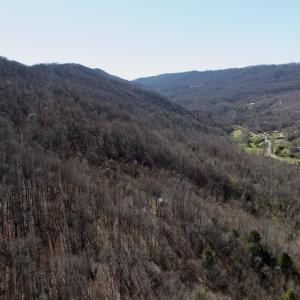 Photo #50 of 1297 Dry Creek Road, Blackwater, VA 50.5 acres