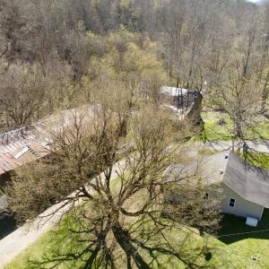 Photo #53 of 1297 Dry Creek Road, Blackwater, VA 50.5 acres