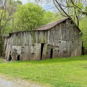 Photo #54 of 1297 Dry Creek Road, Blackwater, VA 50.5 acres