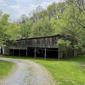 Photo #55 of 1297 Dry Creek Road, Blackwater, VA 50.5 acres