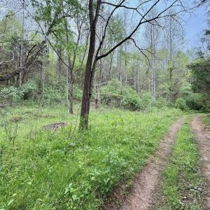 Photo #60 of 1297 Dry Creek Road, Blackwater, VA 50.5 acres