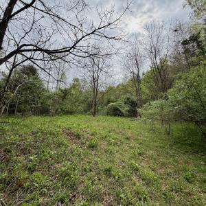 Photo #65 of 1297 Dry Creek Road, Blackwater, VA 50.5 acres