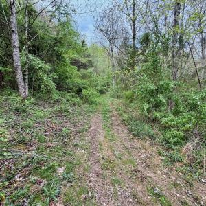 Photo #66 of 1297 Dry Creek Road, Blackwater, VA 50.5 acres