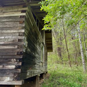 Photo #69 of 1297 Dry Creek Road, Blackwater, VA 50.5 acres