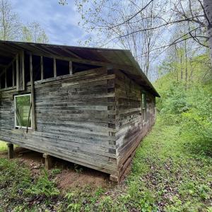 Photo #70 of 1297 Dry Creek Road, Blackwater, VA 50.5 acres