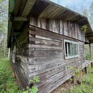 Photo #71 of 1297 Dry Creek Road, Blackwater, VA 50.5 acres