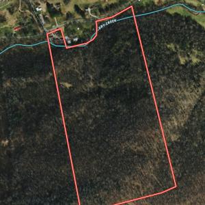 Photo #88 of 1297 Dry Creek Road, Blackwater, VA 50.5 acres