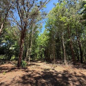 Photo #27 of Lots 6 & 7 Fox Run Drive, Pikeville, NC 2.0 acres