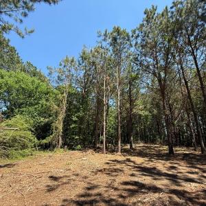 Photo #29 of Lots 6 & 7 Fox Run Drive, Pikeville, NC 2.0 acres