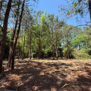 Photo #6 of Lots 6 & 7 Fox Run Drive, Pikeville, NC 2.0 acres
