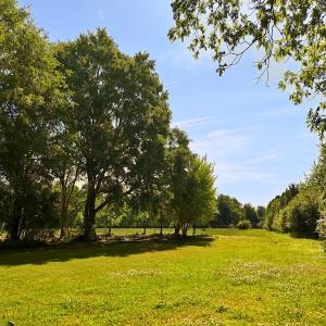 Photo #1 of Off of Old Chinquapin Rd., Beulaville, NC 1.0 acres