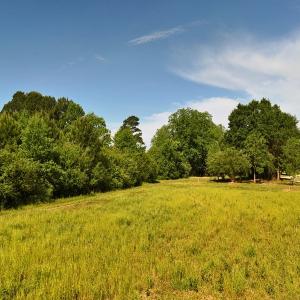 Photo #11 of Off of Old Chinquapin Rd., Beulaville, NC 1.0 acres