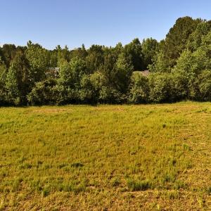 Photo #12 of Off of Old Chinquapin Rd., Beulaville, NC 1.0 acres