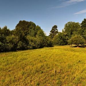 Photo #13 of Off of Old Chinquapin Rd., Beulaville, NC 1.0 acres