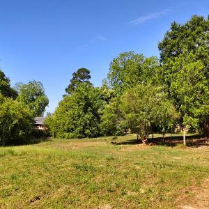 Photo #21 of Off of Old Chinquapin Rd., Beulaville, NC 1.0 acres