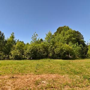 Photo #23 of Off of Old Chinquapin Rd., Beulaville, NC 1.0 acres